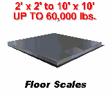 Scales, Scales and more Scales