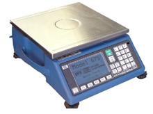 GSE 675 Counting scale