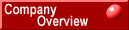 Company Overview